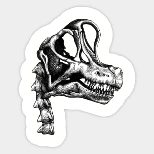 Brachiosaurus Skull Sticker